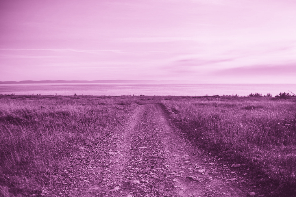 A long, thin dirt road