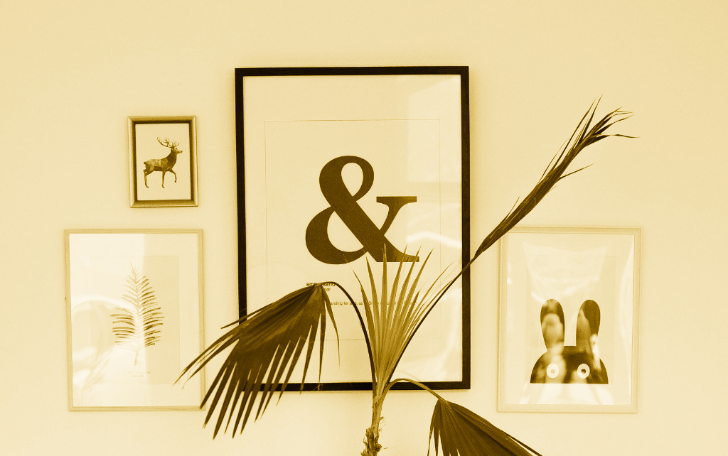 Photoframes on a wall